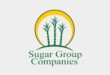 Gaji PT Sugar Group Companies