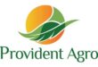 Gaji PT Provident Agro Tbk