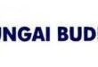 Gaji PT Sungai Budi Group