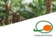 Gaji PT Sriwijaya Palm Oil Group