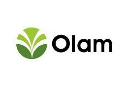 Gaji PT Olam Indonesia