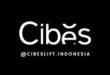 Gaji PT Cibes Lift Indonesia