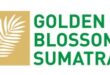 Gaji PT Golden Blossom Sumatra