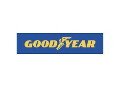 Gaji PT Goodyear Indonesia