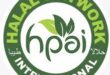 Gaji PT Halal Network International