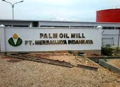 Gaji PT Merbaujaya Indahraya