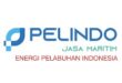 Gaji PT Energi Pelabuhan Indonesia