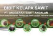 Gaji PT Anugera Sawit Andalan