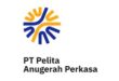 Gaji PT Pelita Anugrah Perkasa