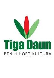 Gaji PT Tiga Daun