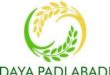 Gaji PT Daya Padi Abadi