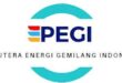 Gaji PT Putera Energi Gemilang Indonesia