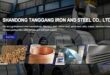 Gaji PT Shandong Tanggang Iron and Steel Co., Ltd.